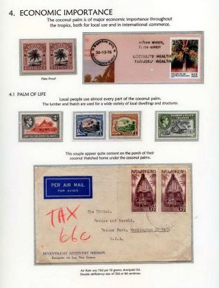 COCONUTS – sheet 35