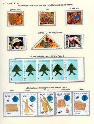 COCONUTS – sheet 37