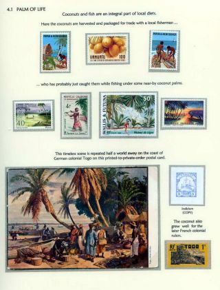 COCONUTS – sheet 38