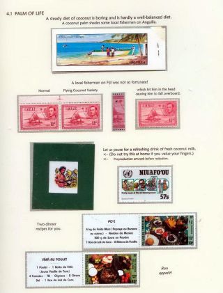 COCONUTS – sheet 39