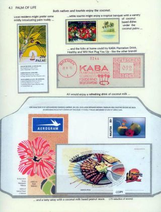 COCONUTS – sheet 40