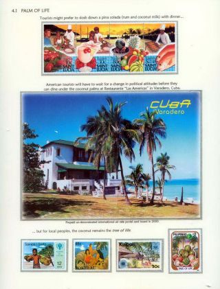 COCONUTS – sheet 41
