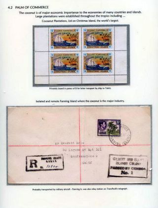 COCONUTS – sheet 42