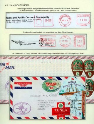 COCONUTS – sheet 43