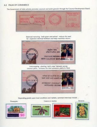 COCONUTS – sheet 44
