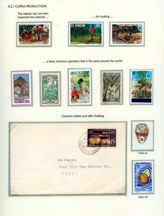 COCONUTS – sheet 46