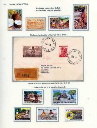 COCONUTS – sheet 47