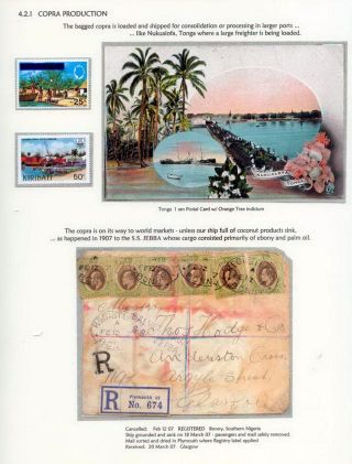 COCONUTS – sheet 49