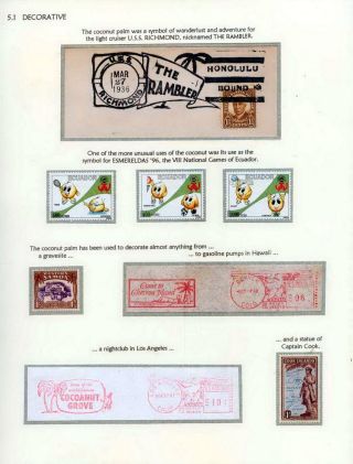 COCONUTS – sheet 62