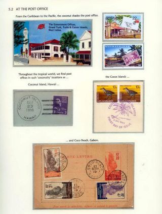 COCONUTS – sheet 66