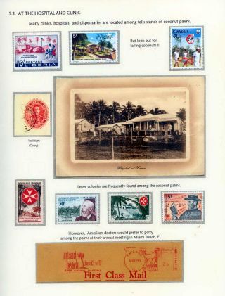 COCONUTS – sheet 69