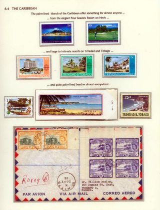 COCONUTS – sheet 84