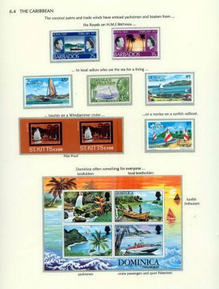 COCONUTS – sheet 85