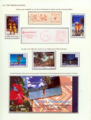 COCONUTS – sheet 87