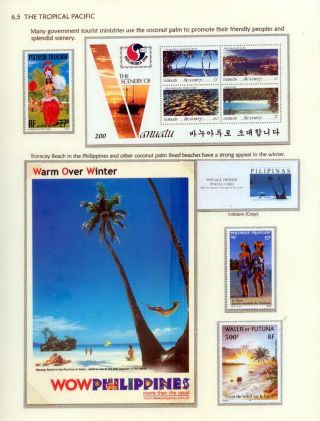 COCONUTS – sheet 89