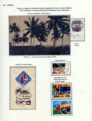 COCONUTS – sheet 91