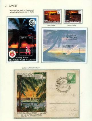 COCONUTS – sheet 93