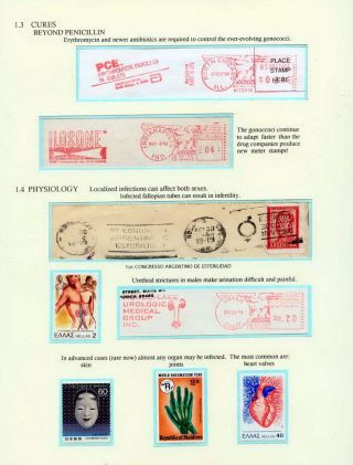 RECIDIVA, NÁVRAT VENUŠINÝCH CHOROB – list 29