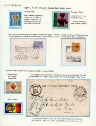 RELAPSE, AILMENTS OF VENUS REVISITED – sheet 64