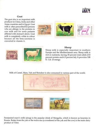 PŘÍBĚH MLÉKA – list 4