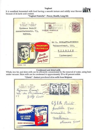 PŘÍBĚH MLÉKA – list 12