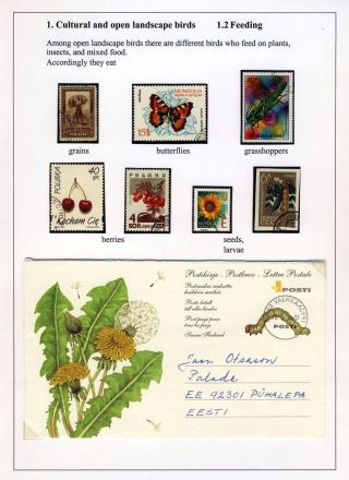 VÖGEL IN HIIUMAA – Blatt 4