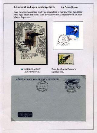 VÖGEL IN HIIUMAA – Blatt 6