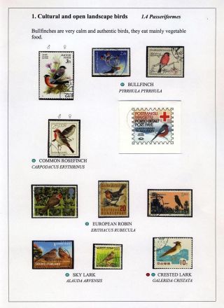 VÖGEL IN HIIUMAA – Blatt 7