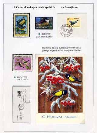 VÖGEL IN HIIUMAA – Blatt 8