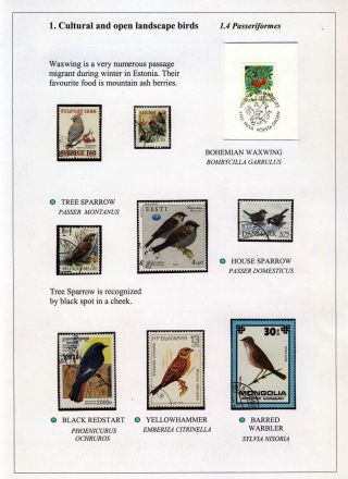 VÖGEL IN HIIUMAA – Blatt 9