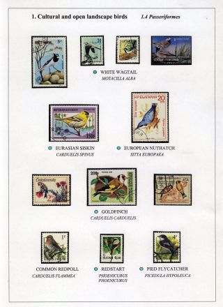 VÖGEL IN HIIUMAA – Blatt 10