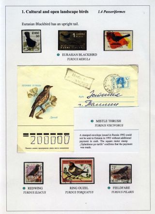 VÖGEL IN HIIUMAA – Blatt 11