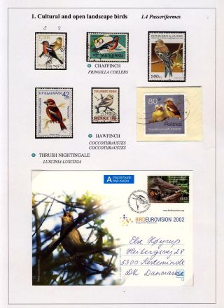 VÖGEL IN HIIUMAA – Blatt 12