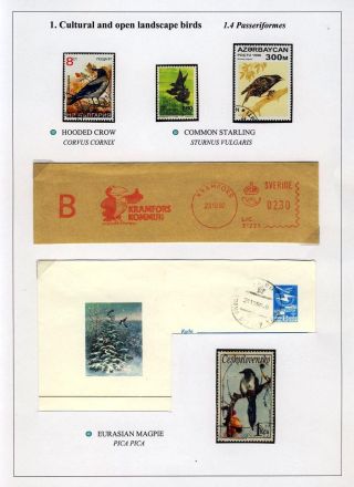 VÖGEL IN HIIUMAA – Blatt 13