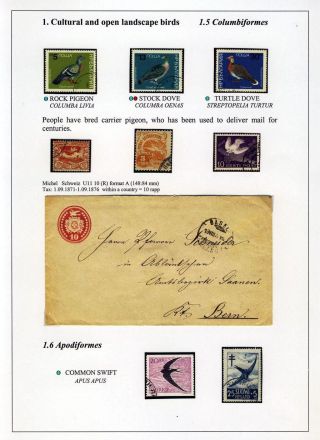 VÖGEL IN HIIUMAA – Blatt 14