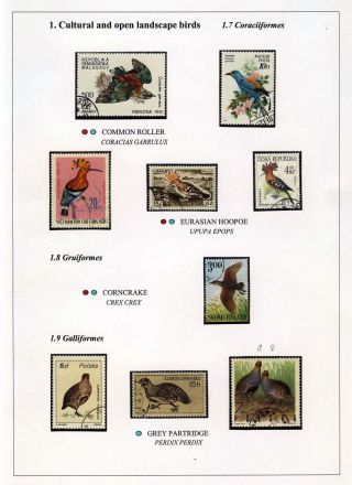 VÖGEL IN HIIUMAA – Blatt 15