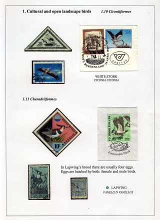 VÖGEL IN HIIUMAA – Blatt 16