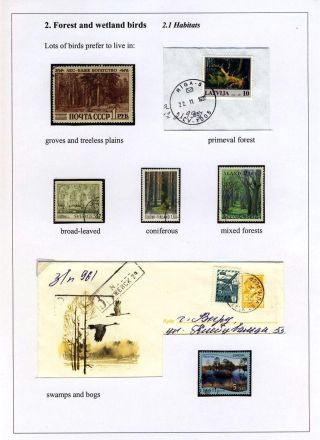 PTÁCI OSTROVA HIIUMAA – list 17