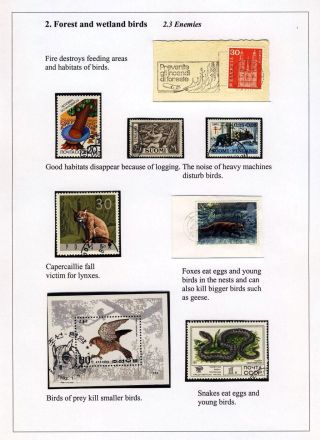 PTÁCI OSTROVA HIIUMAA – list 19