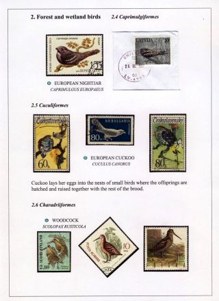 PTÁCI OSTROVA HIIUMAA – list 20