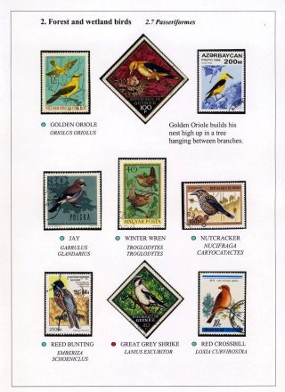 PTÁCI OSTROVA HIIUMAA – list 21