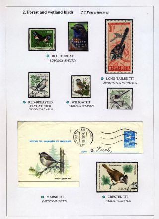 PTÁCI OSTROVA HIIUMAA – list 22