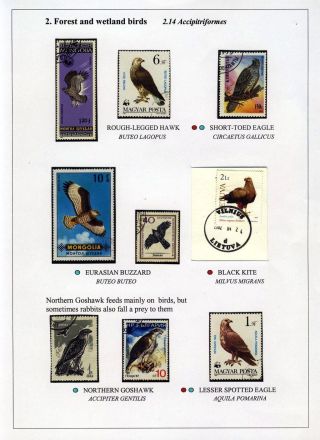 PTÁCI OSTROVA HIIUMAA – list 32