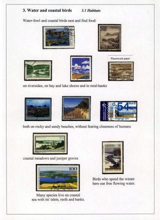 PTÁCI OSTROVA HIIUMAA – list 33