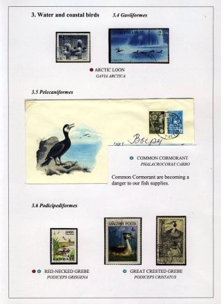 PTÁCI OSTROVA HIIUMAA – list 36