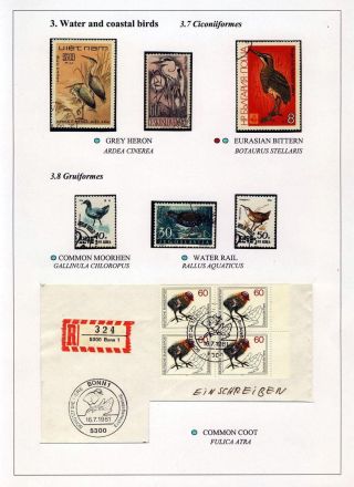 PTÁCI OSTROVA HIIUMAA – list 37