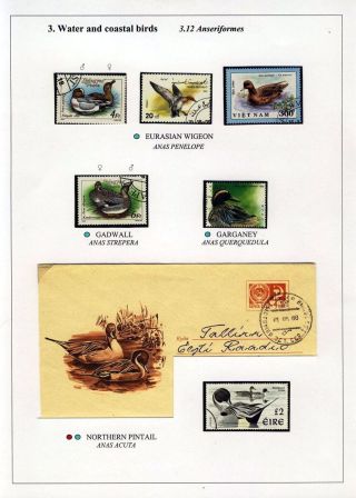 PTÁCI OSTROVA HIIUMAA – list 44