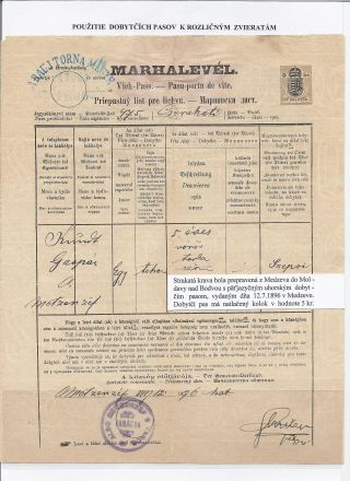 DOBYTČÍ PASY – list 10