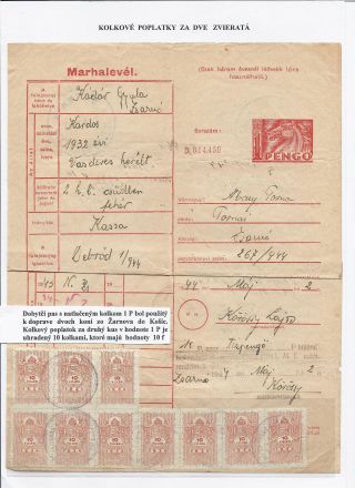 DOBYTČÍ PASY – list 14
