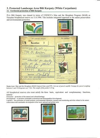 NATIONAL NATURE RESERVE CERTORYJE AND ITS FLORA – sheet 5